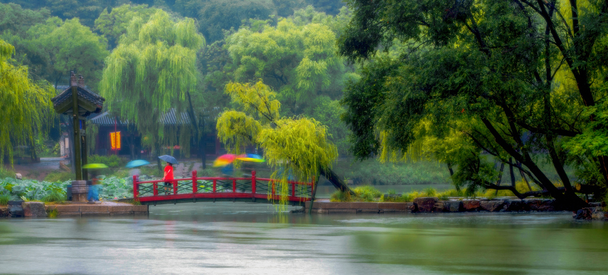 优秀奖-雨中即景-赵保健-承德县