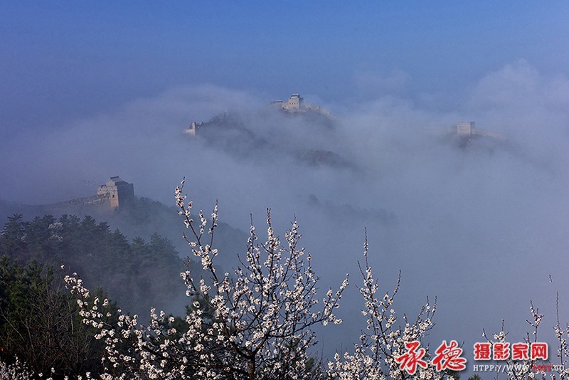 山花烂漫——作者：剑出鞘