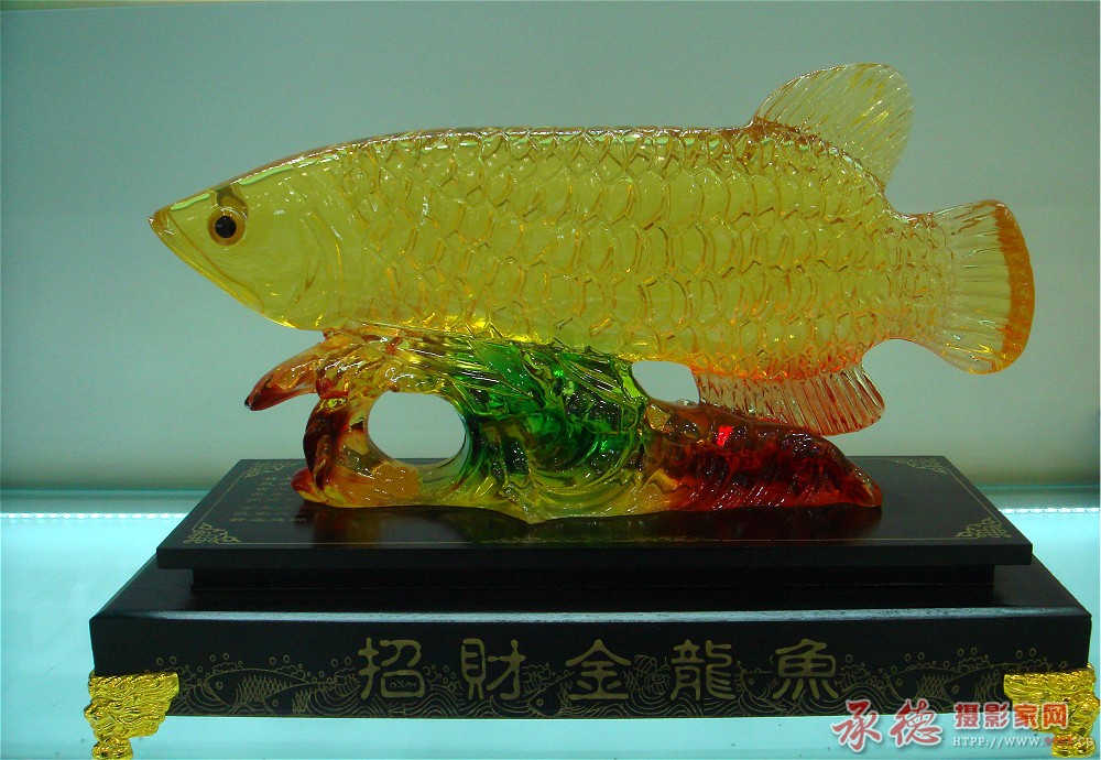 优秀奖-金龙鱼-小草