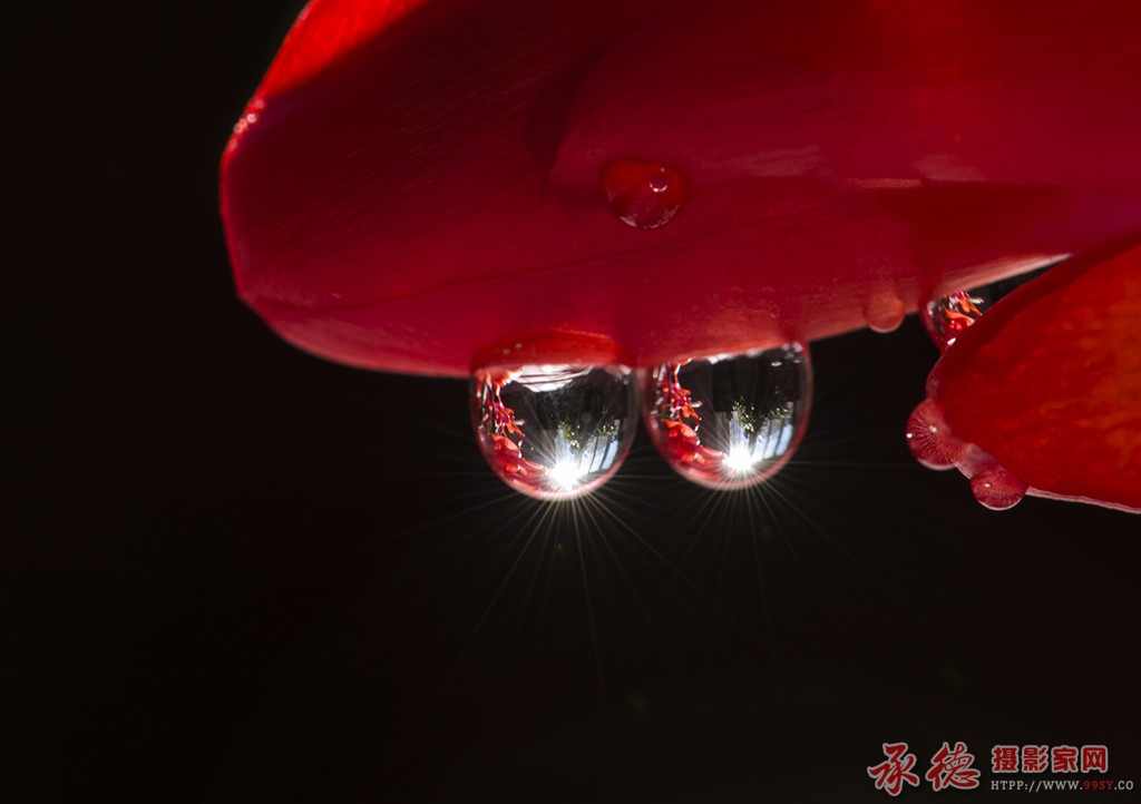 优秀奖-水滴的魅力-海阔天空
