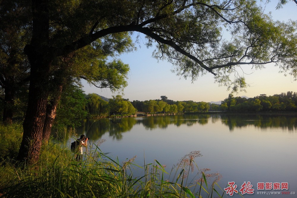 24.夏日里的避暑山庄-星星