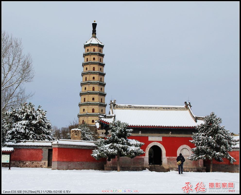 34.雪落山庄-飞翔的鹰