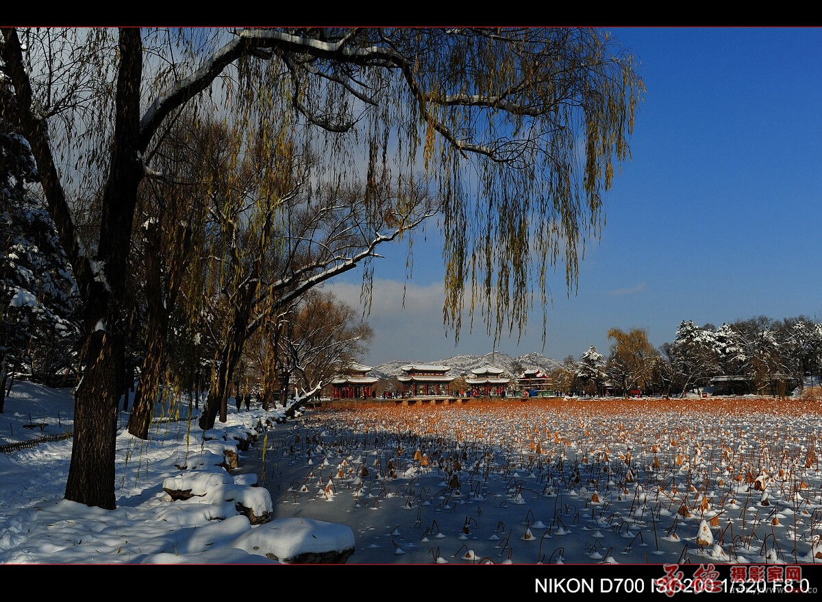 39.山庄雪景-温柔之光