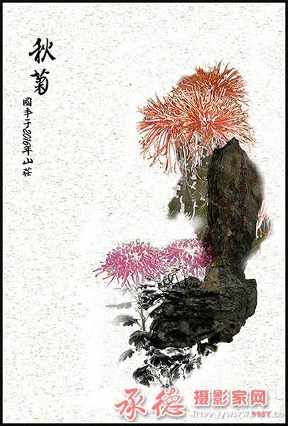 44.秋菊-骑友老同学