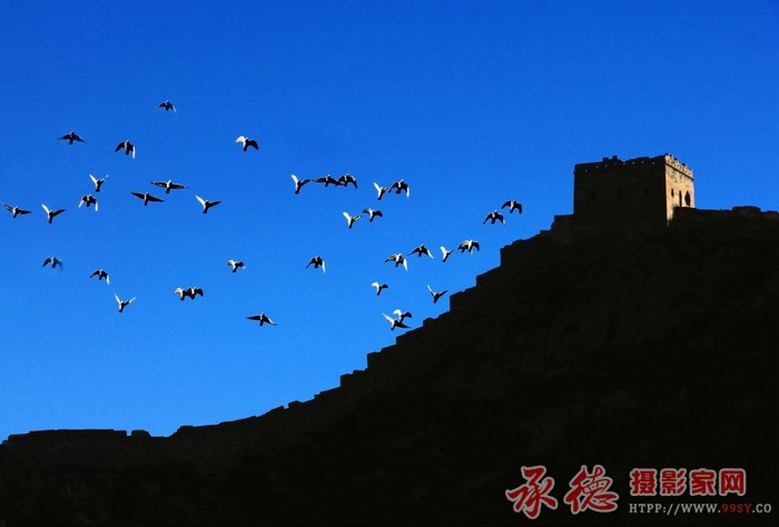 16、《飞跃》-良师益友