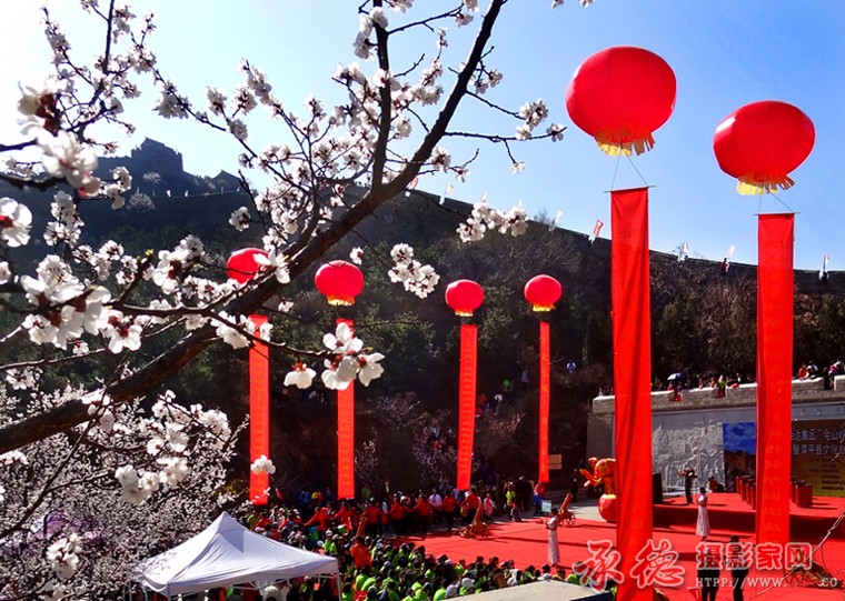 32、金山岭杏花节开幕式现场-快乐影人