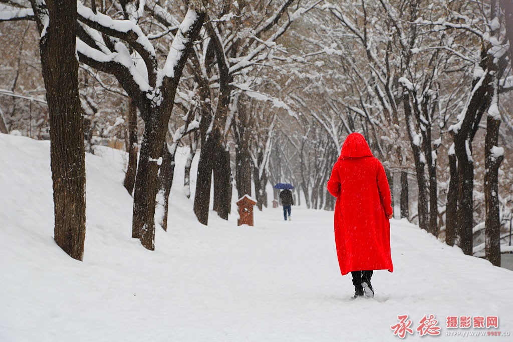 69-靓女踏雪-草根摄员