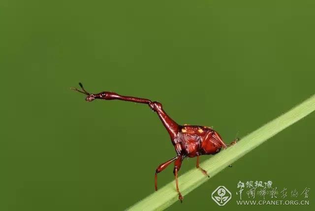 微信图片_20170707161011.jpg