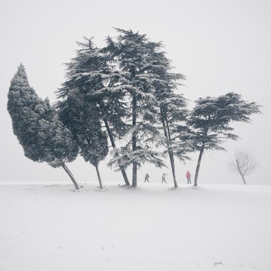 陈启辉 无垠雪