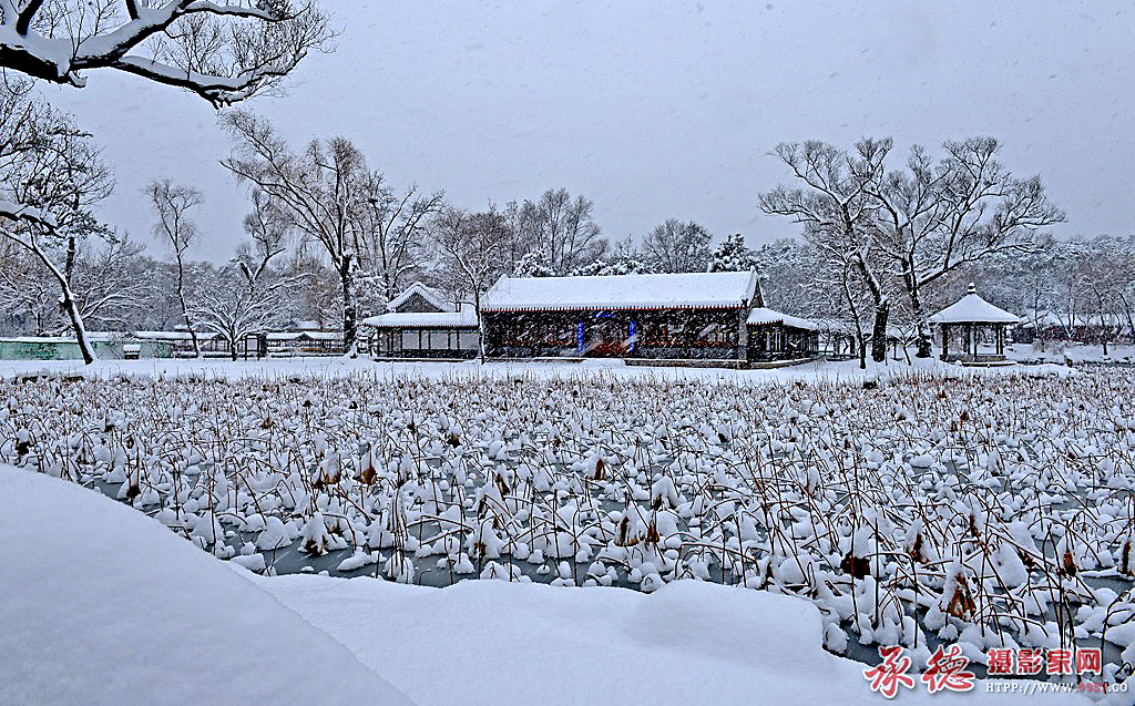 7-环碧岛雪韵