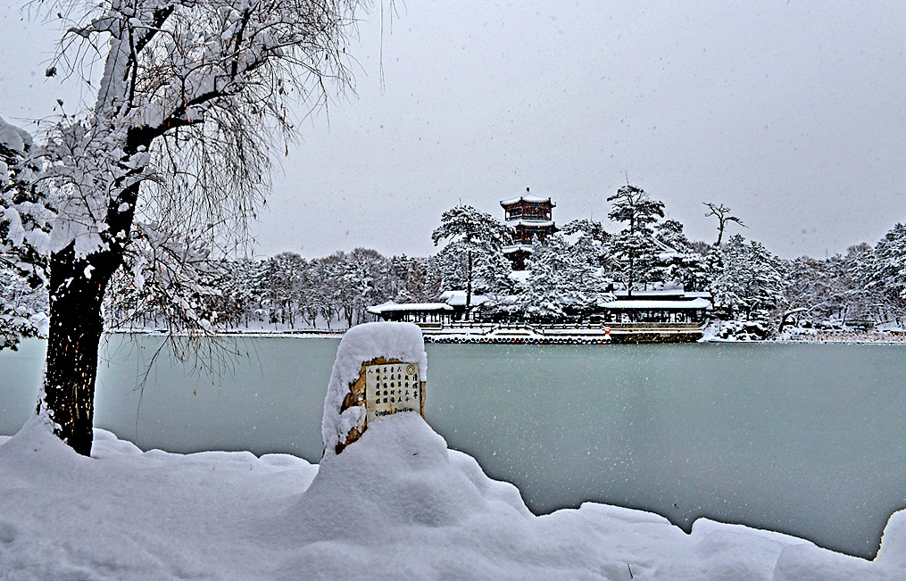 8-雪韵金山