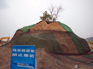 中国第17届国际摄影艺术展览拟入展作品公示之纪录类（组）杨旭东 《网开一面》中国