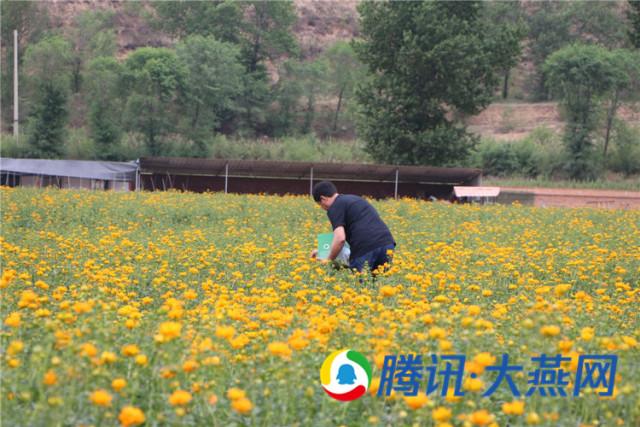 承德首届“天原药业金莲花杯”全国摄影大赛正式启动