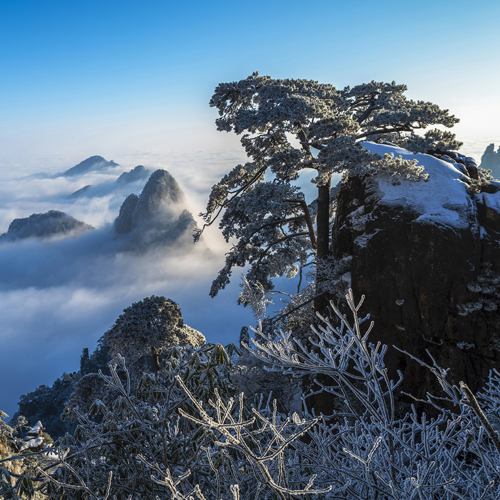 b黄山- (5)于沛君摄影